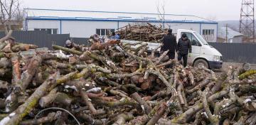 Lemne oferite familiilor nevoiaşe din judeţul Galaţi