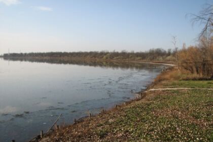 Proiectul „Alege Şcoala!” continuă  în Arhiepiscopia Dunării de Jos – fotografia 2