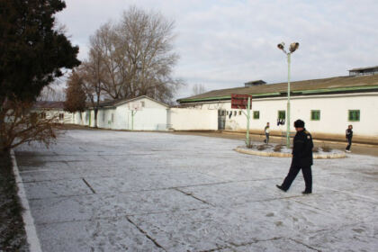 Sărbătoarea „Închinării cinstitului lanț al Sf.Ap. Petru” în Arhiepiscopia Dunării de Jos – fotografia 14