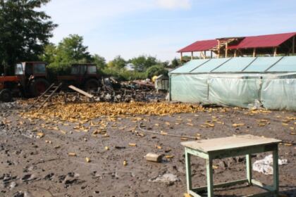 Pod de speranţă peste necazuri şi suferinţe – fotografia 10