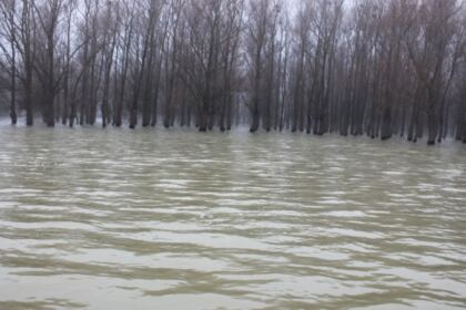 Activitate filantropică în Insula Mare a Brăilei – fotografia 3