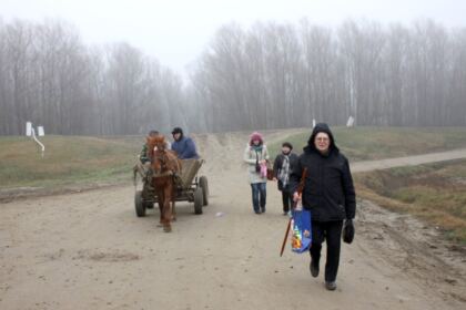 Activitate filantropică în Insula Mare a Brăilei – fotografia 5