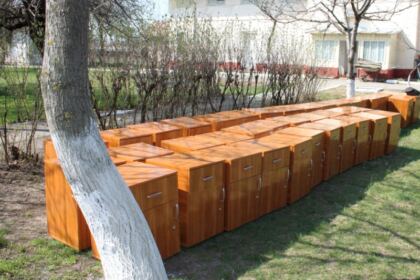 Rugăciune şi filantropie în parohia Pechea – fotografia 9