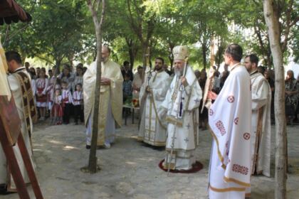 Tabăra de la Viziru, a XX-a ediţie – fotografia 9