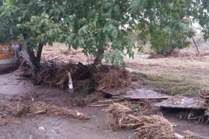 Un pod de fapte bune pentru sinistraţii din Câmpia Covurluiului – fotografia 8