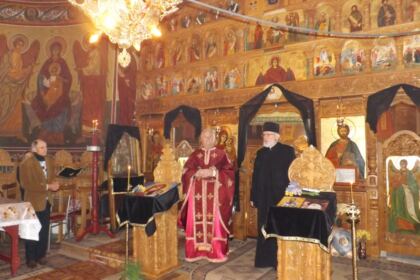 Program duhovnicesc liturgic, misionar şi filantropic în parohii sărace la Dunărea de Jos – fotografia 1