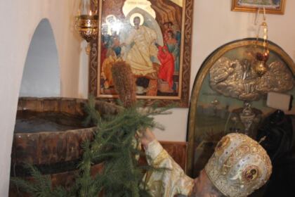 Praznicul „Izvorul Tămăduirii“ sărbătorit la Brăila – fotografia 11