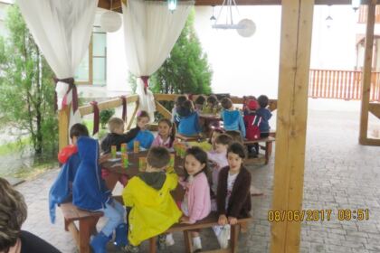 Activitate pastoral-misionară, social-filantropică şi educaţională la Aşezământul „Sfântul Mare Mucenic Pantelimon” din Lacu Sărat – judeţul Brăila – fotografia 3