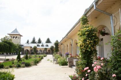 Proiect eparhial pentru tineri în Arhiepiscopia Dunării de Jos – fotografia 3