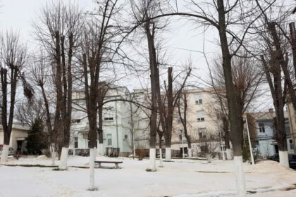 Sărbătoarea Bunei Vestiri în Arhiepiscopia Dunării de Jos – fotografia 5