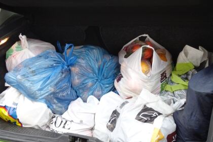 Manifestări culturale şi social-filantropice la Centrul „Speranţe pentru vârsta a III-a“ din cadrul parohiei „Sf. Stelian“ din Galaţi – fotografia 2
