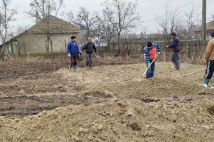 Locuinţă pentru o familiei cu trei copii din judeţul Brăila – fotografia 3