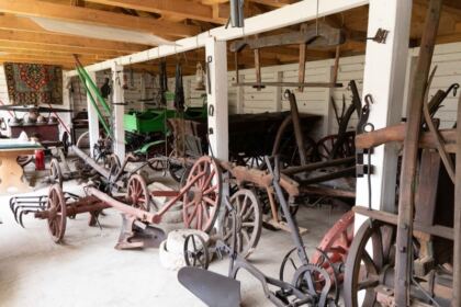 Evocarea satului românesc în Câmpia Brăilei – fotografia 16