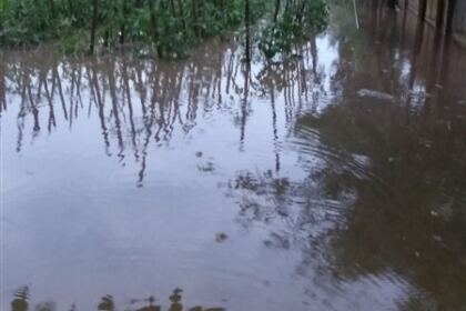 Continuă ajutorarea celor afectaţi de inundaţii la Corod – fotografia 3