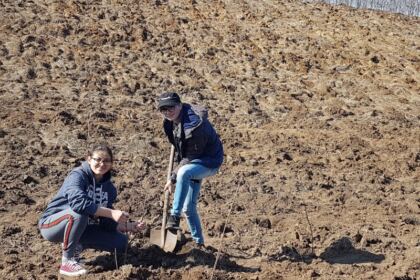 Plantare de puieţi în judeţul Galaţi – fotografia 5
