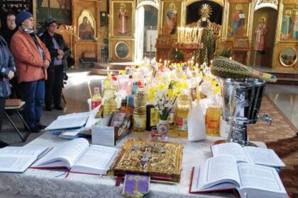 Activităţi pastoral-misionare, medicale şi social-filantropice în satele din Eparhia Dunării de Jos – fotografia 3