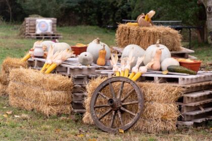 Conferinţă semestrială şi sfinţirea noului Aşezământ parohial din localitatea Brătuleşti, judeţul Galaţi – fotografia 3
