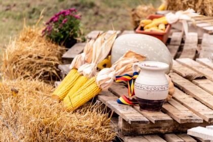 Conferinţă semestrială şi sfinţirea noului Aşezământ parohial din localitatea Brătuleşti, judeţul Galaţi – fotografia 4