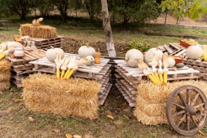 Conferinţă semestrială şi sfinţirea noului Aşezământ parohial din localitatea Brătuleşti, judeţul Galaţi – fotografia 5