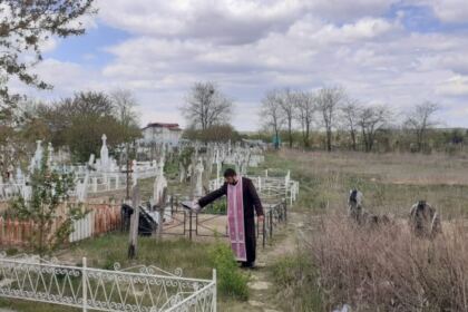 Ajutoare în perioada pascală – fotografia 15