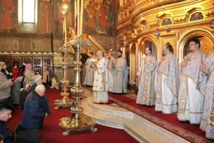 Activităţi social-filantropice la Duminica Înfricoşătoarei Judecăţi în Arhiepiscopia Dunării de Jos – fotografia 4