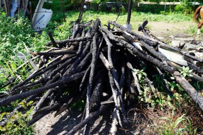 Casă pentru o familie cu 7 copii din judeţul Brăila – fotografia 10