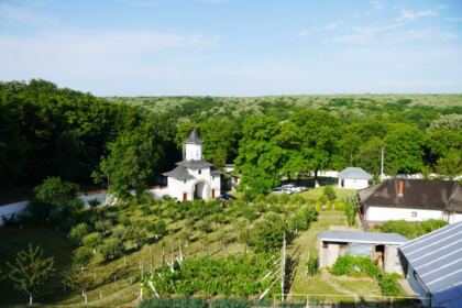 Sărbătoarea Preasfintei Treimi în pădurea Buciumenilor – fotografia 8