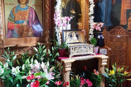 Pomenirea Sfântului Efrem cel Nou şi daruri pentru familii cu mulţi copii – fotografia 8