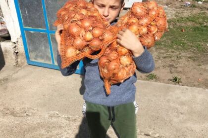 Daruri pentru o familie cu posibilități materiale reduse – fotografia 1