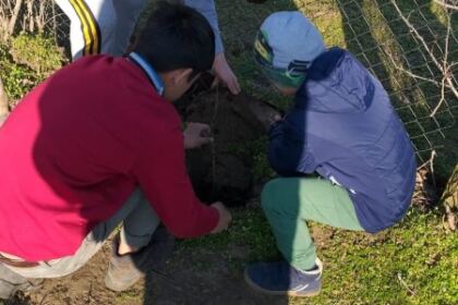 Concursul naţional catehetic „Biserica – familia românilor de pretutindeni“ în Parohia Viile, Protopopiatul Târgu Bujor, judeţul Galaţi – fotografia 7