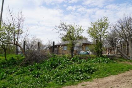 Daruri pentru 40 de familii nevoiaşe din localitatea Cărăpceşti, judeţul Galaţi – fotografia 23