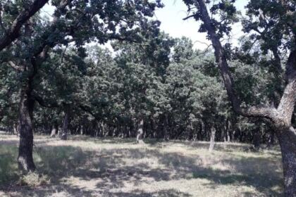 Tabără pentru copiii din localitatea Suceveni – fotografia 1