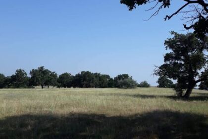 Tabără pentru copiii din localitatea Suceveni – fotografia 2