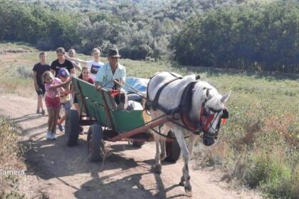 Tabără pentru copiii din localitatea Suceveni – fotografia 3