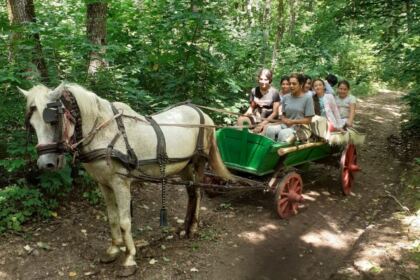 Tabără de vară pentru 25 de copii din cadrul Asociației „Sfântul Vasile cel Mare“ din Galați – fotografia 12
