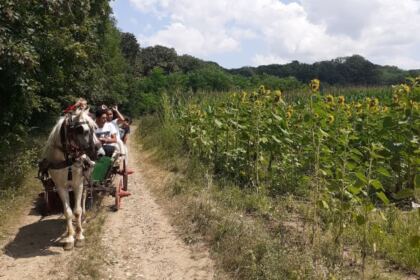 Tabără de vară pentru 25 de copii din cadrul Asociației „Sfântul Vasile cel Mare“ din Galați – fotografia 13