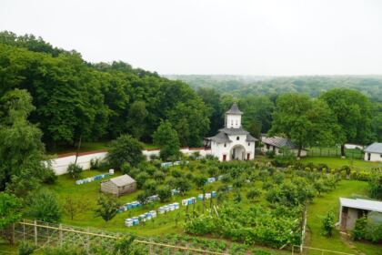 Sărbătoarea Preasfintei Treimi în pădurea Buciumenilor – fotografia 5