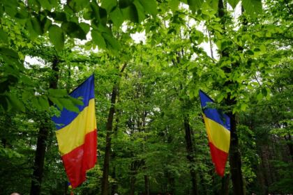 Sărbătoarea Preasfintei Treimi în pădurea Buciumenilor – fotografia 25