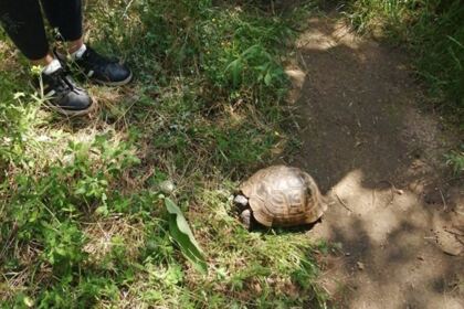 Excursie pentru copiii unui centru social din Galaţi – fotografia 12