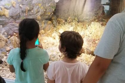 Excursie pentru copiii unui centru social din Galaţi – fotografia 20