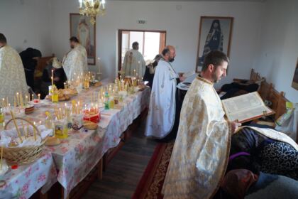 Rugăciune şi caravană medicală în satul Petroiu din judeţul Brăila – fotografia 31
