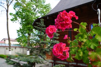 Un nou transport cu ajutoare pentru ucraineni – fotografia 12