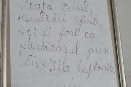 Programul eparhial „Vacanța din pridvorul bisericii“ a ajuns și în Parohiile Corni, Cosmești Vale, Fântâni, Nicorești și Vișina – fotografia 10