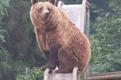 Programul eparhial „Vacanța din pridvorul bisericii“ a continuat și în parohiile Ulmu și Mohreanu – fotografia 8