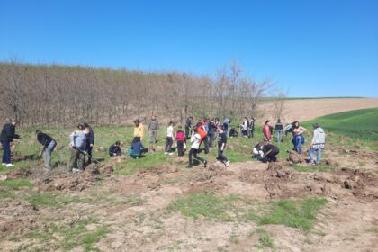 Campanie de împădurire la Mănăstirea Cârlomănești din județul Galați – fotografia 3