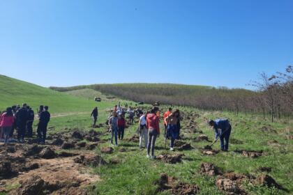 Campanie de împădurire la Mănăstirea Cârlomănești din județul Galați – fotografia 5