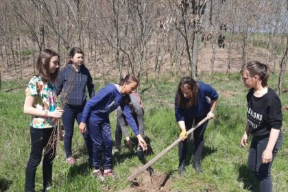 Campanie de împădurire la Mănăstirea Cârlomănești din județul Galați – fotografia 6
