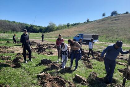 Campanie de împădurire la Mănăstirea Cârlomănești din județul Galați – fotografia 8