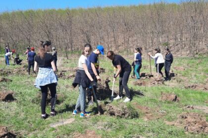 Campanie de împădurire la Mănăstirea Cârlomănești din județul Galați – fotografia 9