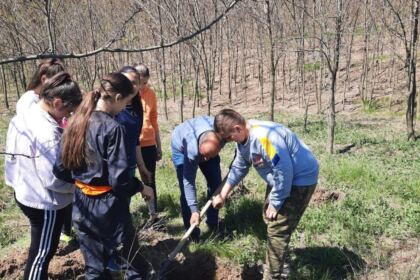 Campanie de împădurire la Mănăstirea Cârlomănești din județul Galați – fotografia 10